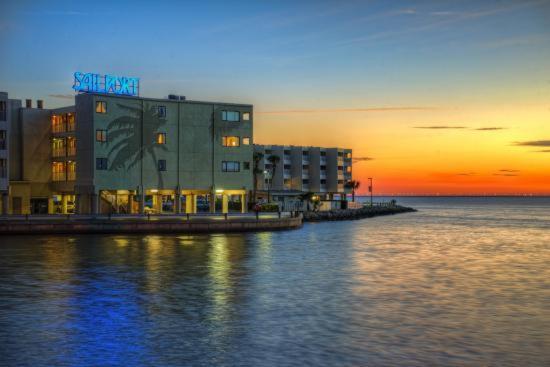 410-Gorgeous Views, Waterfront, Wifi, Pool And Close To Bucs Stadium Tampa Ngoại thất bức ảnh