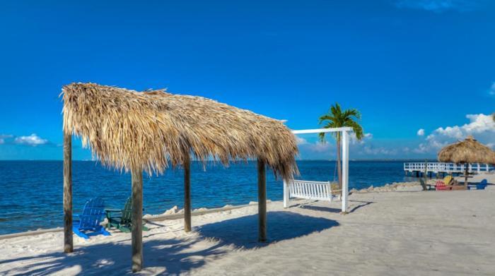 410-Gorgeous Views, Waterfront, Wifi, Pool And Close To Bucs Stadium Tampa Ngoại thất bức ảnh