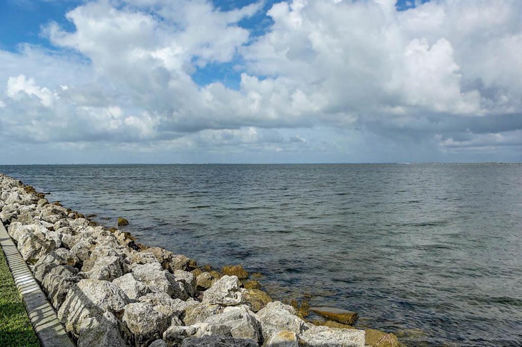 410-Gorgeous Views, Waterfront, Wifi, Pool And Close To Bucs Stadium Tampa Ngoại thất bức ảnh