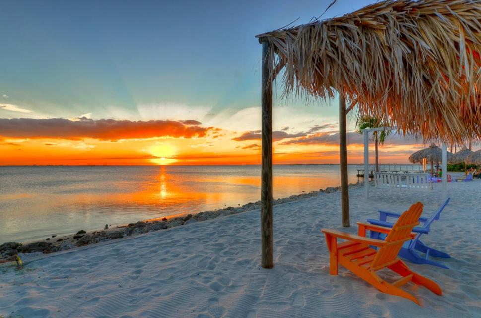 410-Gorgeous Views, Waterfront, Wifi, Pool And Close To Bucs Stadium Tampa Ngoại thất bức ảnh